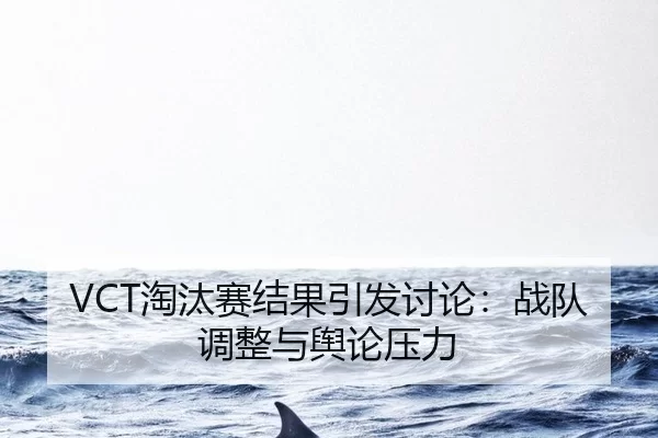 VCT淘汰赛结果引发讨论：战队调整与舆论压力